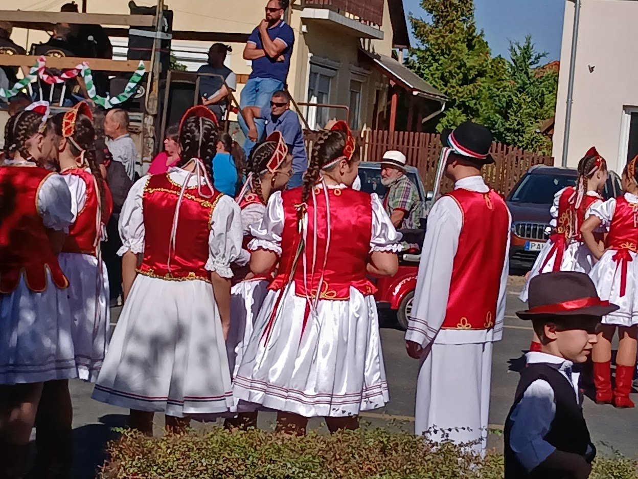Grupo con trajes tradicionales durante la celebración de la vendimia