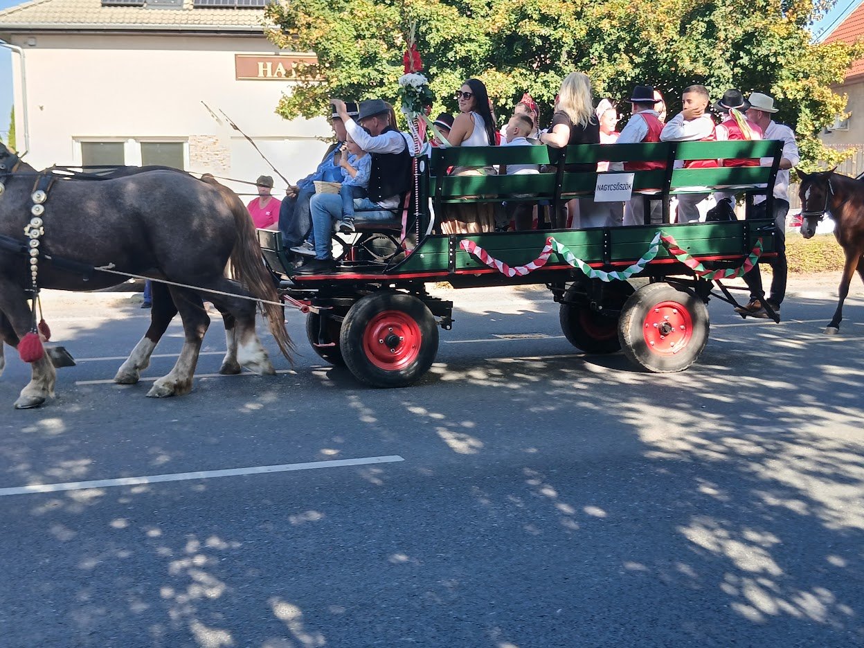 Carro tirado por caballos con participantes del desfile