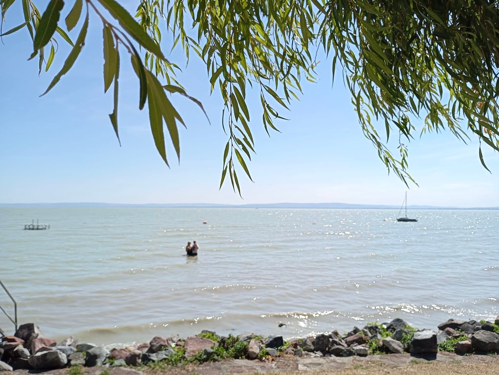 Orilla del lago Balaton enmarcada por las ramas de un sauce