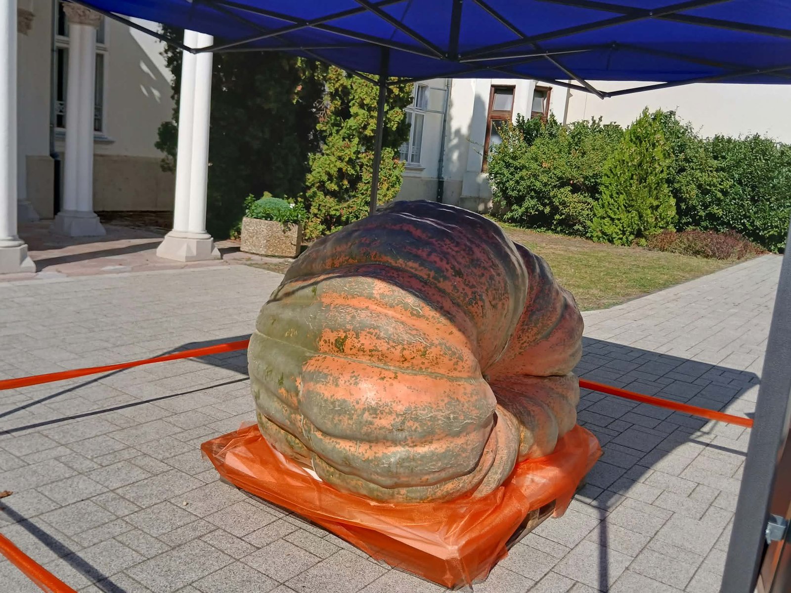 Calabaza gigante en Martonvásár durante la celebración otoñal