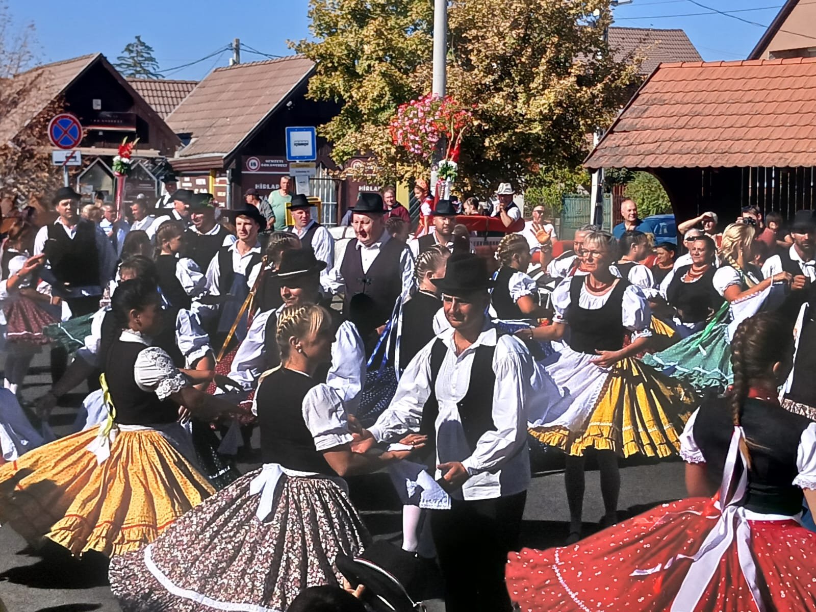 Participantes de frente con trajes tradicionales durante el baile de la vendimia