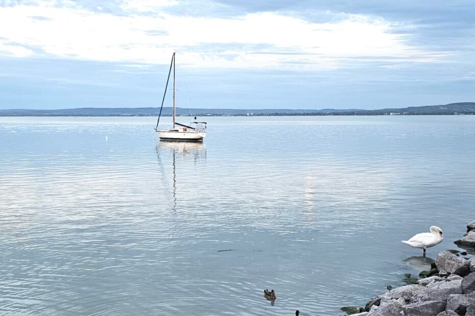Velero sobre el lago Balaton y cisnes junto a la orilla