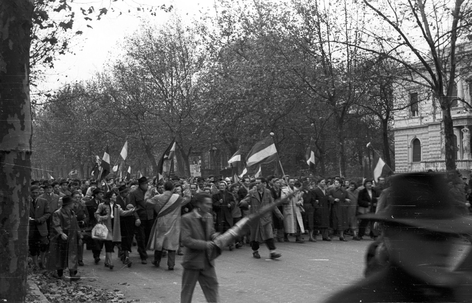 Manifestantes con banderas húngaras marchan por la avenida Andrássy de Budapest, la tarde del 25 de octubre de 1956.